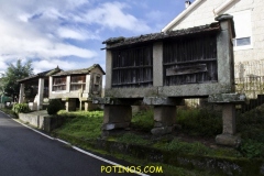 Longoseiros-1-