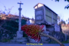 MONTES-SOUTO