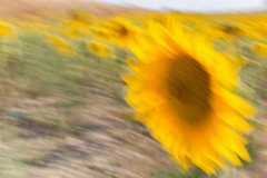 Aurora-Impresionismo-2