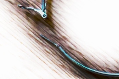 JLDIZ-IMG_-20220829_185716-