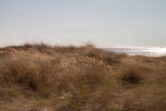 VICTOR-IMPRESIONISMO-1