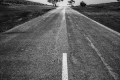 Bego-2.Caminaremos-juntos