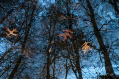 Azul-Ismael-Cabaleiro