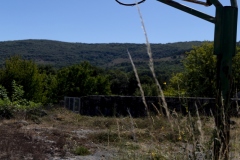 Esther_Mosquera_La_naturaleza_siempre_recupera_lo_que_es_suyo