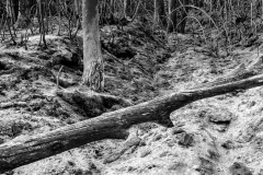 4-J.Emilio170816-00042