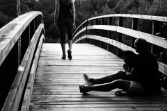 5-MCelta-Voar-co-corazonnegroi