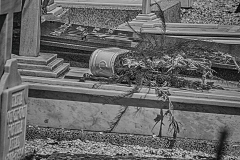 6-Outono-2017.-VICTOR-1