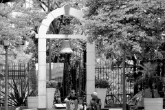 Descrenza-BN-Nacho-03