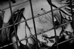 otono-2017-hizquierdo