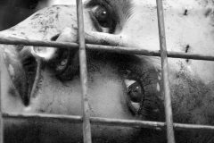 otono2017-hizquierdo-2