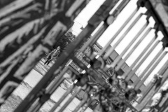 Berlin_Esther-Mosquera