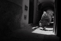 Camino-a-Luz.-JLMontes