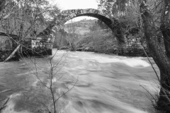 Fernando-Agar-A-Ponte