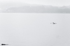 Mariano-Gabriel-Fuentes-.Antenas-de-Mar