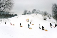 Aurora-3-Ins-p-Gronsky