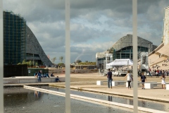 DENDE-A-VENTAA-JEmilio-Gomez