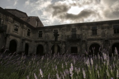 Pat-Celta-monasterio-Oseira