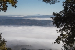 Esther-Mosquera-Esther_of_galicia-OF.2014