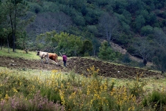 Juan-Rua-Arar-OF.2014