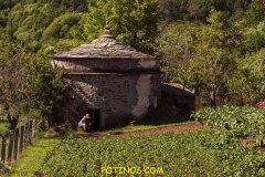 Tania-Cerdeira-Prieto-O-pombal-OF.2014