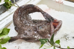 13-mercado-roberto-1