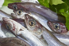 13-mercado-roberto-2