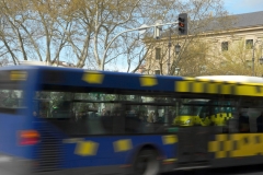 Felipe-Parada-Alameda