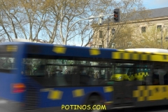 Felipe-Parada-Alameda