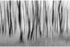 J.EmilioLos-Q-Faltan