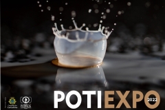 POTIEXPO-22-MODELO-2