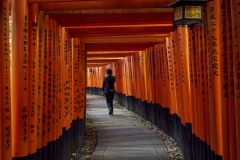 SEVE-Fushimi-Inari-taisha