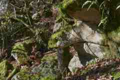 M-Mar-tortuga-del-Arenteiro