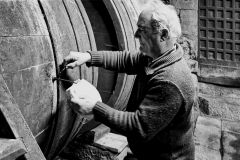 DIZ.Delfin-Cabanelas