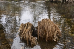 1_Seve-Rio-Arenteiro1